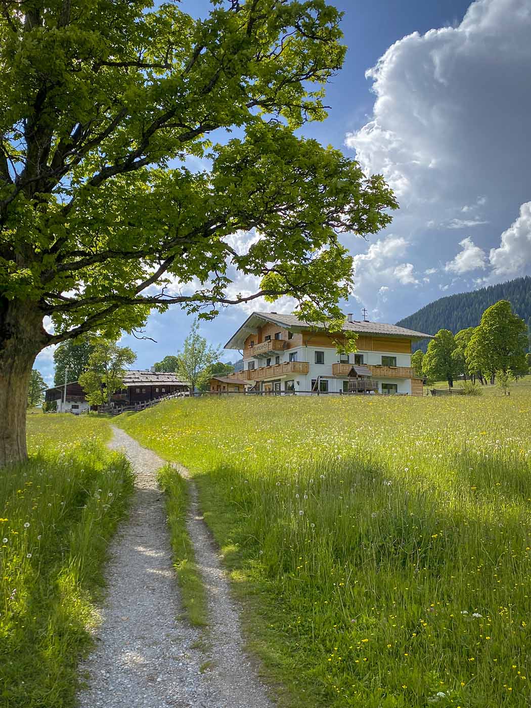 B&B Sunseitn in Ramsau – Frühstückspension mit sonniger Lage direkt am Wanderweg Frühstückspension Sunseitn am Wanderweg in Ramsau am Dachstein – sonnige, zentrale Lage für deinen Urlaub