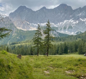 Wandern in Ramsau am Dachstein – eindrucksvolle Touren mit Blick auf das Dachsteinmassiv in der Steiermark genießen
