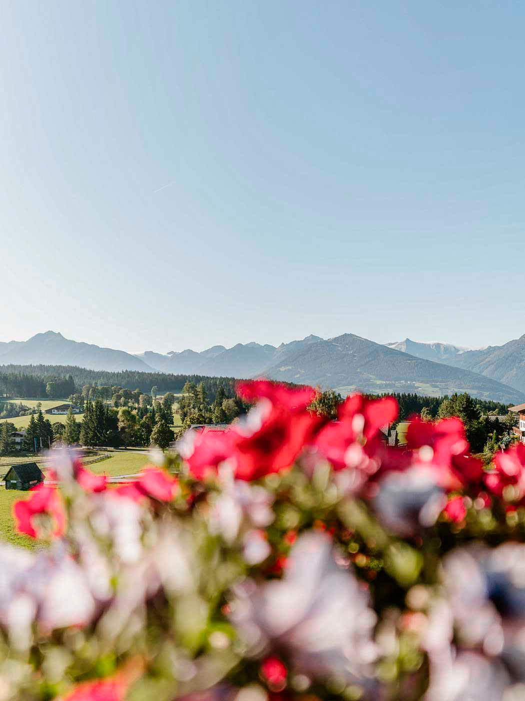 Gemütliches Zimmer mit Bergblick in Ramsau am Dachstein – Urlaub mit Aussicht in der Frühstückspension Sunseitn